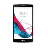 G4