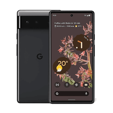 Pixel 6 model image